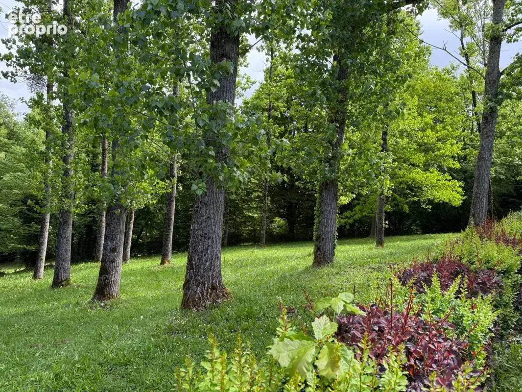 EN EXCLUSIVITE Maison 184m², 4 chambres avec dépendances sur 4396m² de terrain 149 900 € - photo 18