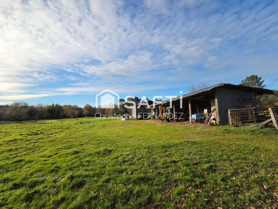 Maison 304 m² à Montendre  - photo 3