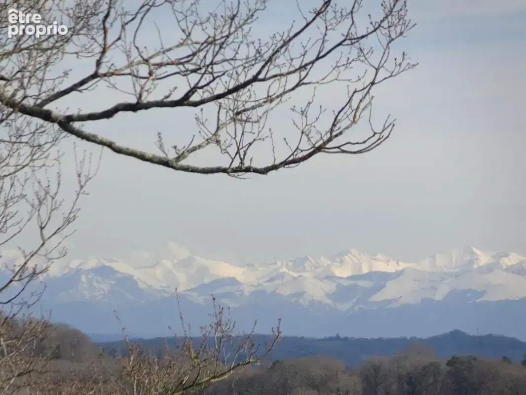 Villa d'architecte 162 m2, 2 ha terrain et bois - photo 6