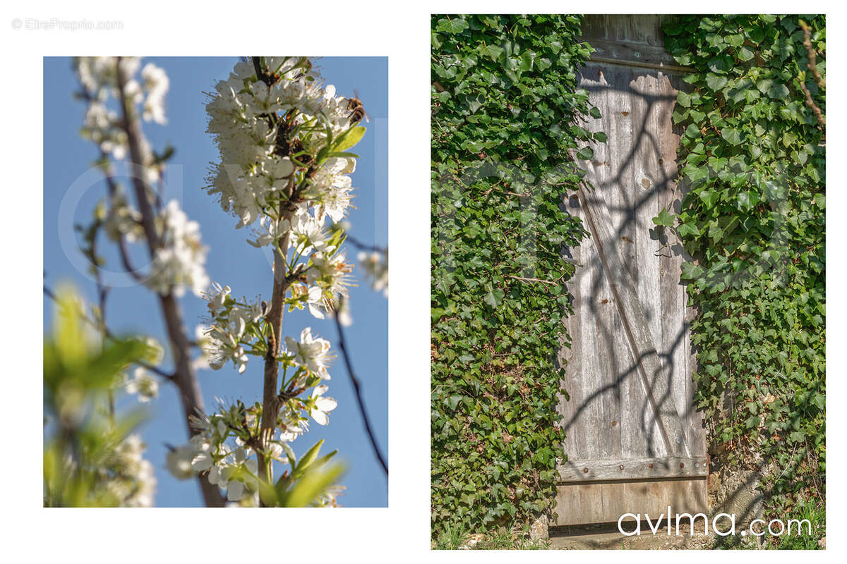 Maison à SAINT-NOM-LA-BRETECHE