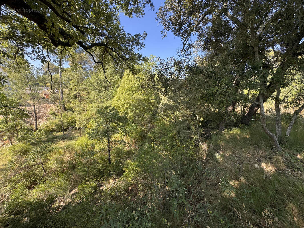 Terrain à SAINT-MAXIMIN-LA-SAINTE-BAUME