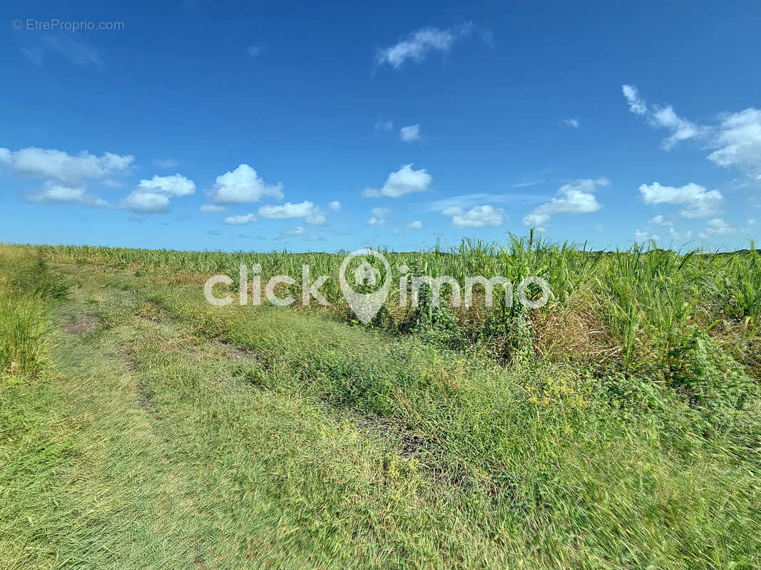Terrain à PORT-LOUIS