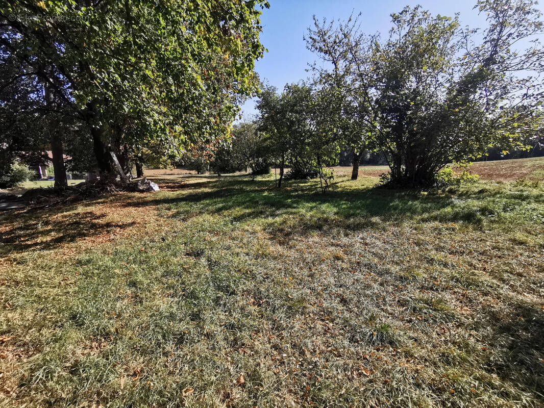 Terrain à L'ISLE-JOURDAIN