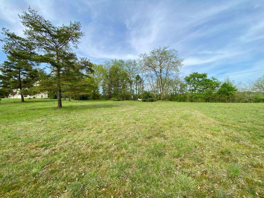 Terrain à MAUZAC-ET-GRAND-CASTANG