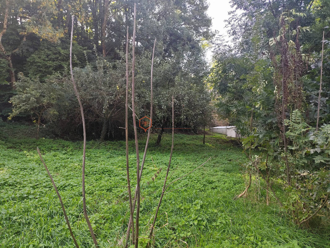 Terrain à ASPRES-LES-CORPS