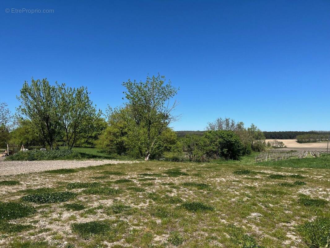 Photo 1 - Terrain à RIBAGNAC