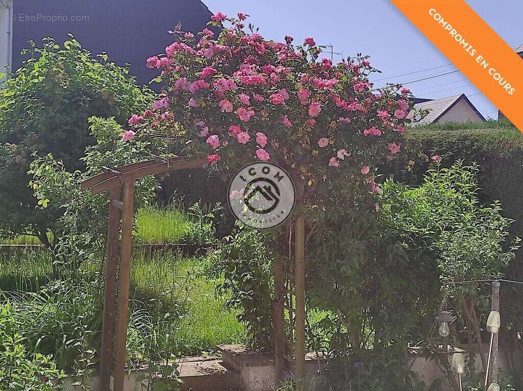 Nouveauté dans un secteur prisé - photo 11