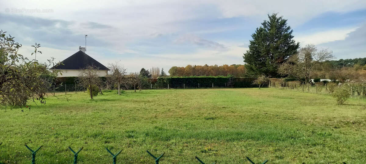 Maison à BRAIN-SUR-ALLONNES