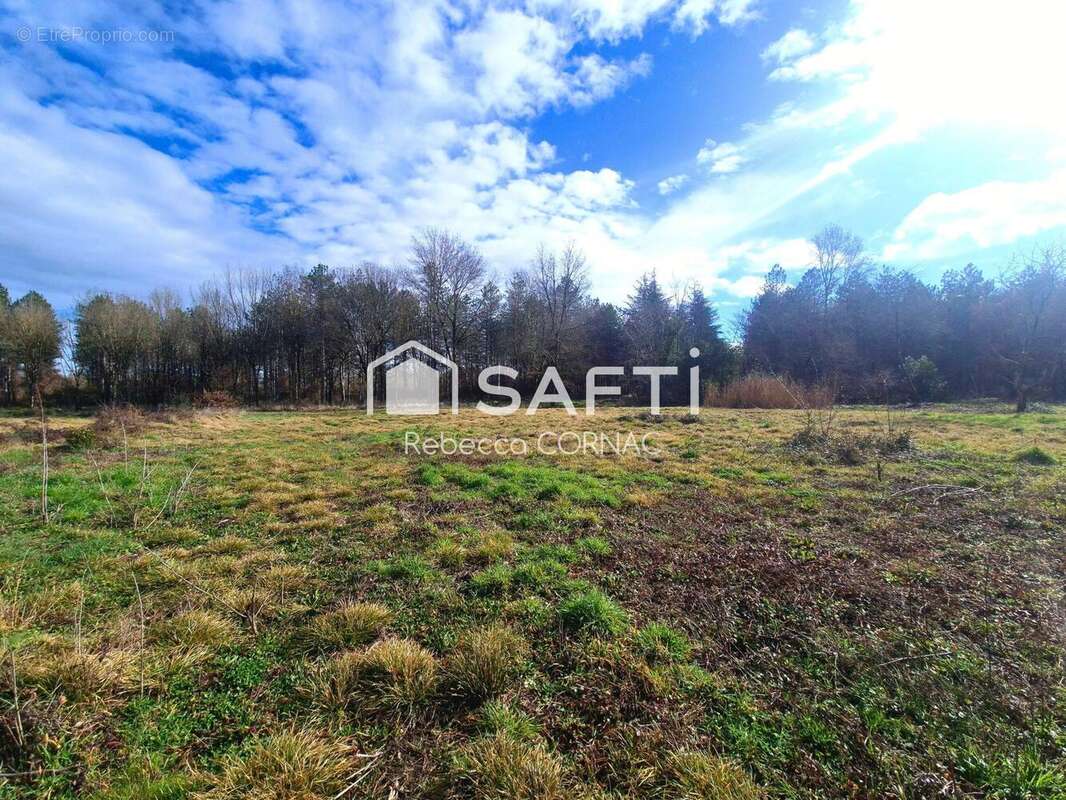 Photo 3 - Terrain à VILLEMATIER