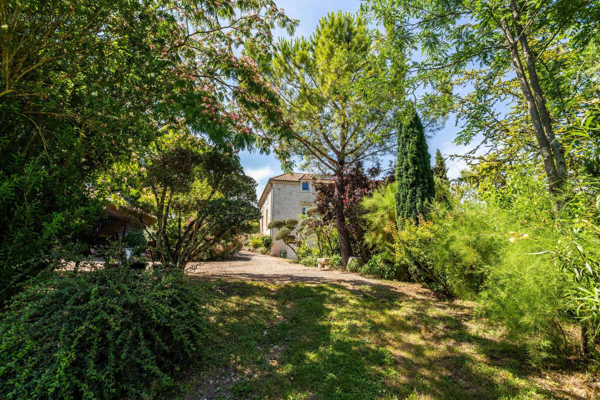 County property with pool and land - photo 13