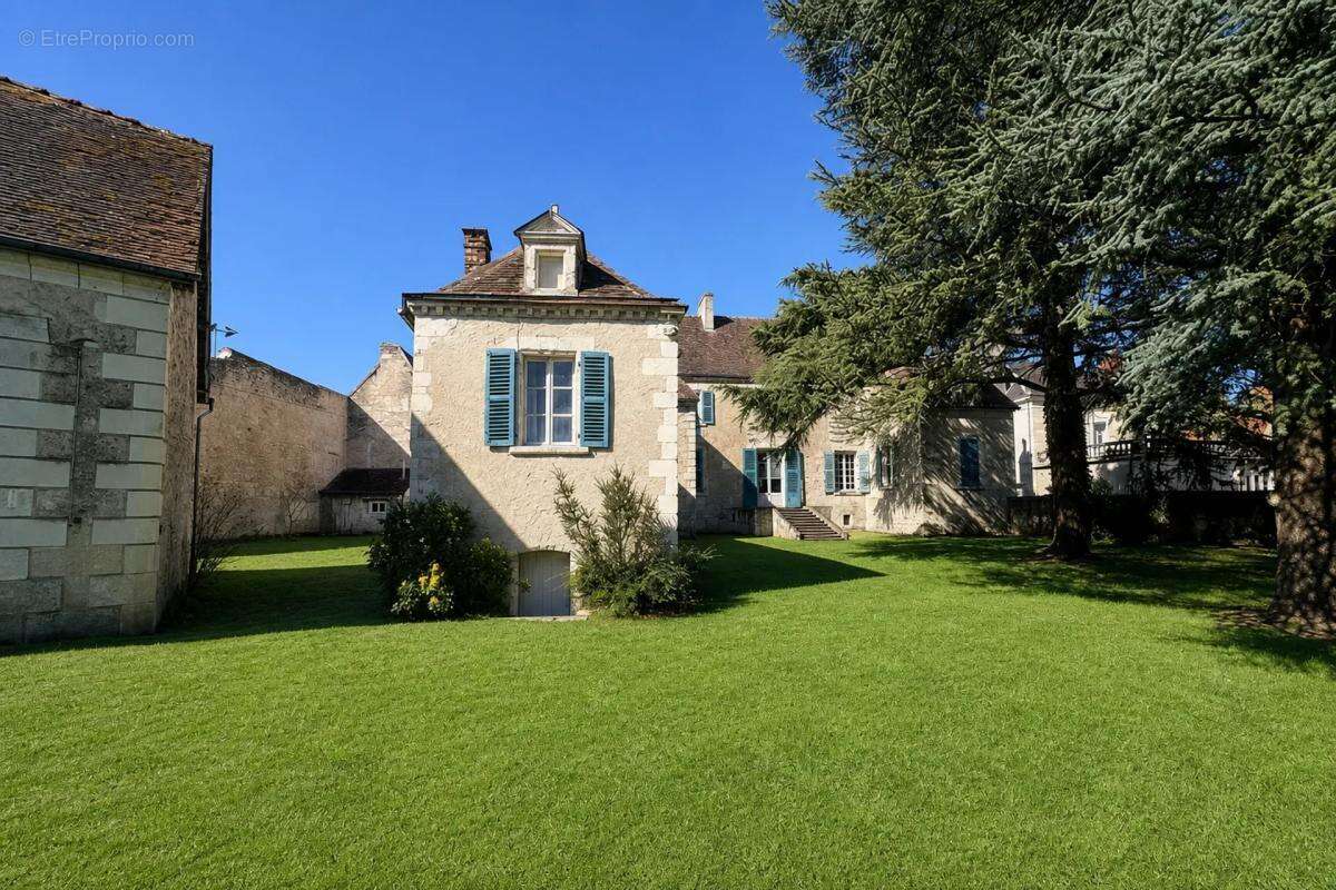 Majestueux Hôtel Particulier à Châtillon-sur-Indre - photo 11