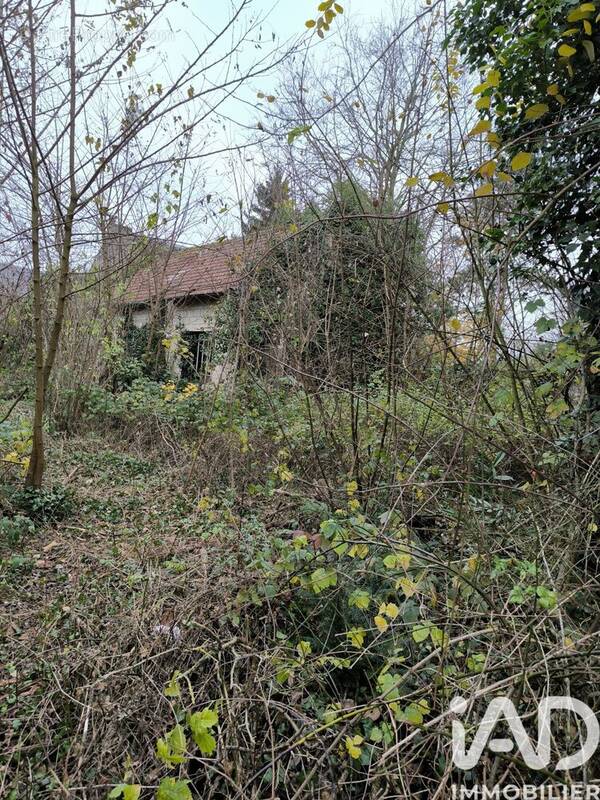Photo 1 - Terrain à CREPY-EN-VALOIS