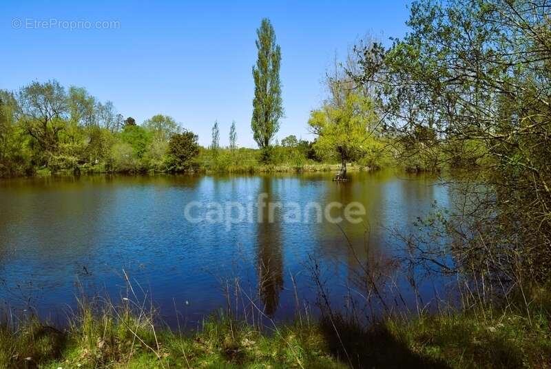 Maison à SAINT-URBAIN