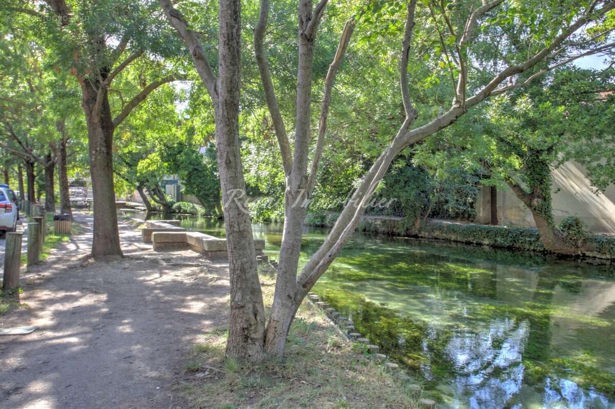 Appartement à L&#039;ISLE-SUR-LA-SORGUE