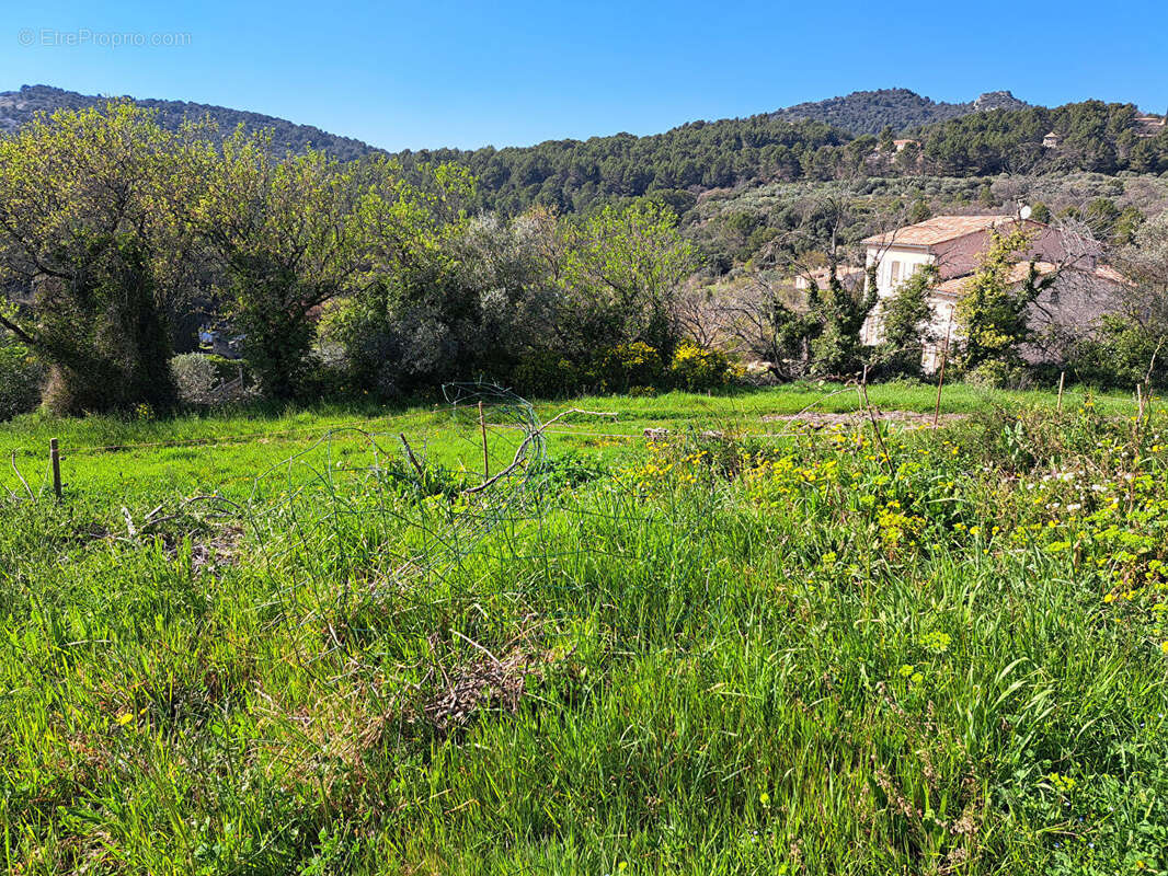 Terrain à LE BARROUX