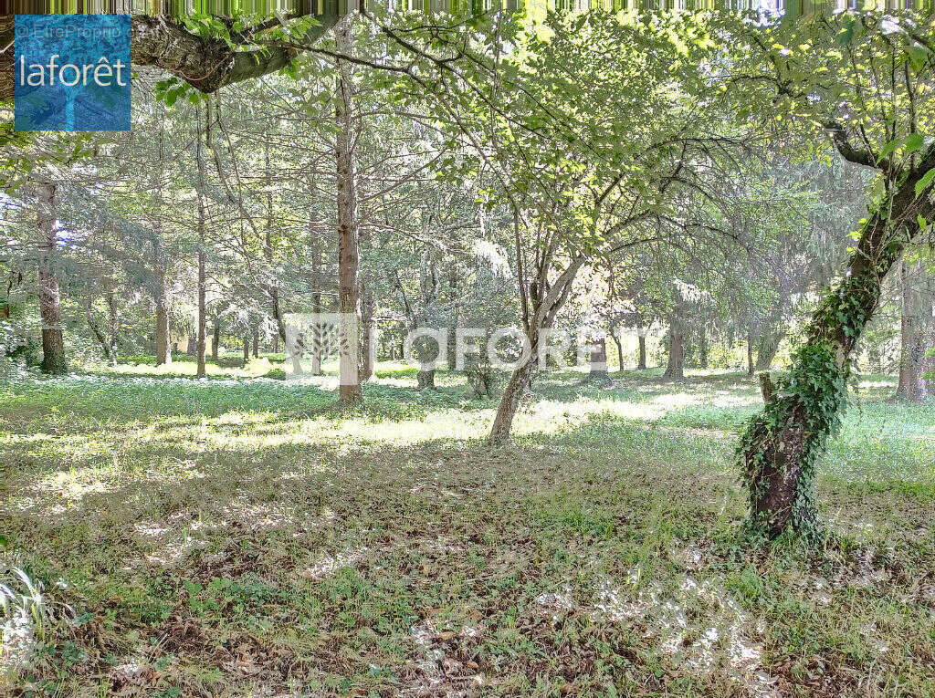 Terrain à PRATS-DE-MOLLO-LA-PRESTE