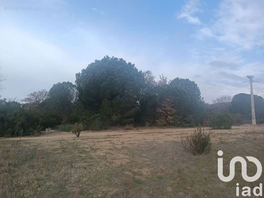 Photo 7 - Terrain à ORTAFFA