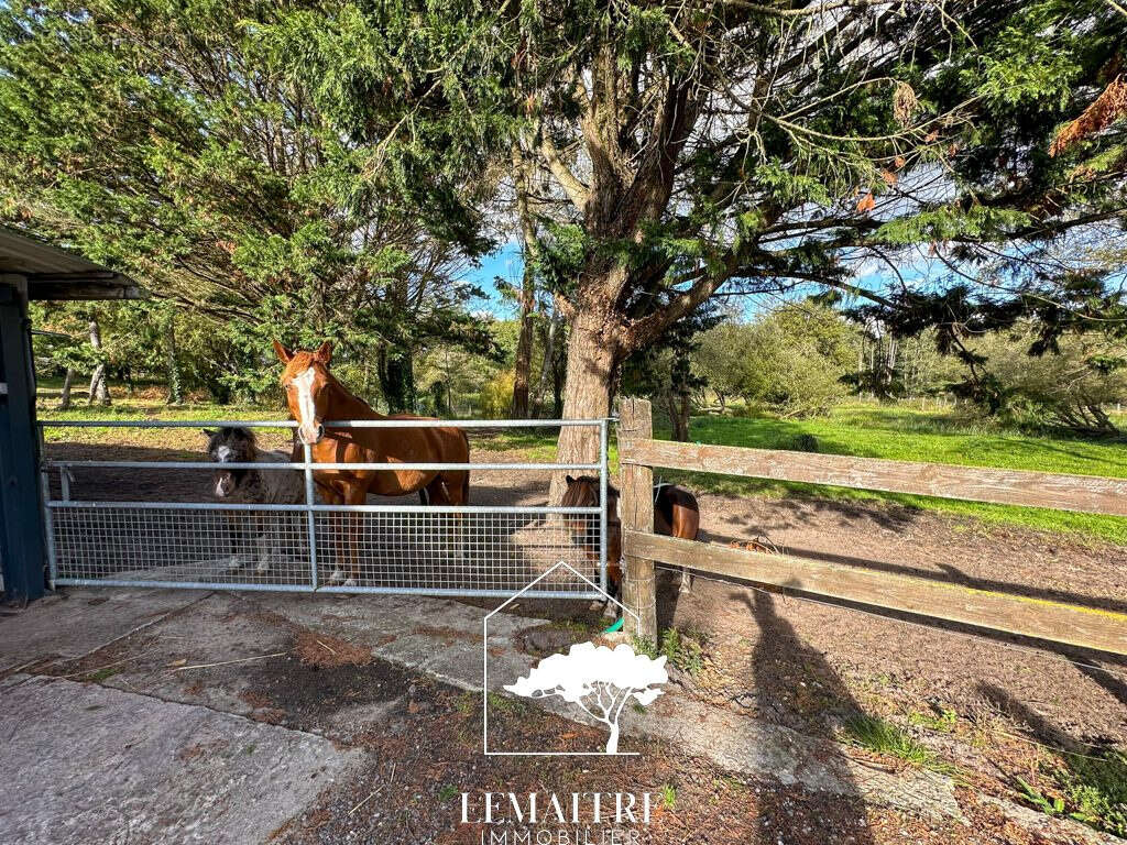 Maison à LES MATHES