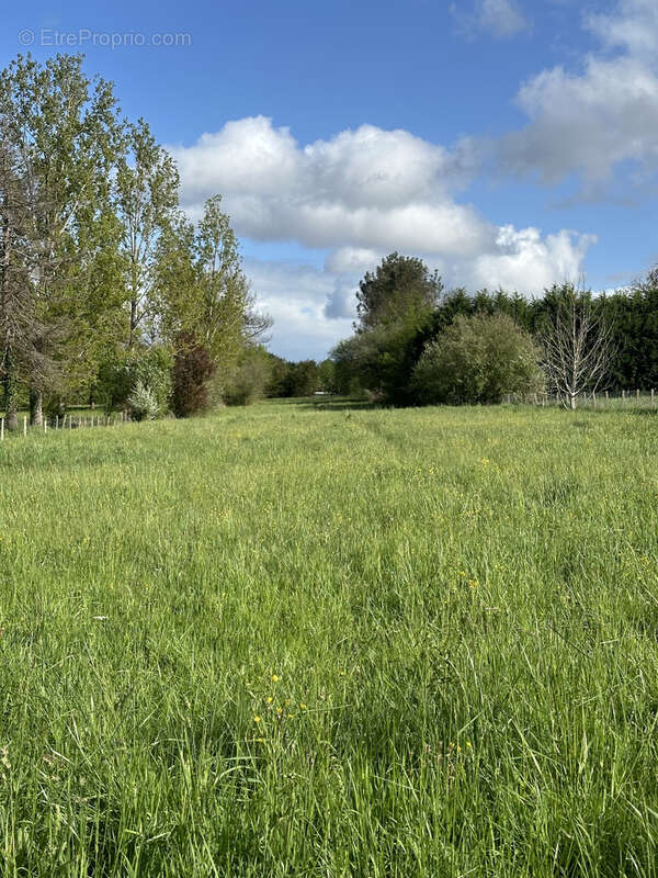 Terrain à LA ROCHE-CHALAIS