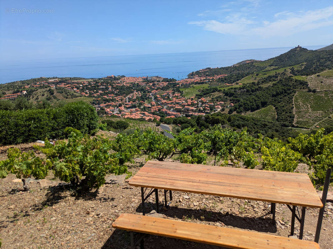 Terrain à COLLIOURE