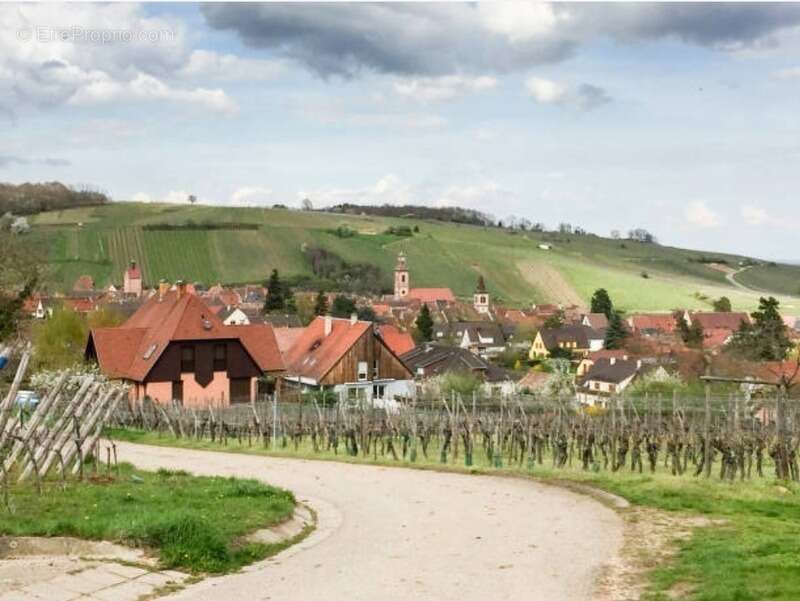 Appartement à TURCKHEIM