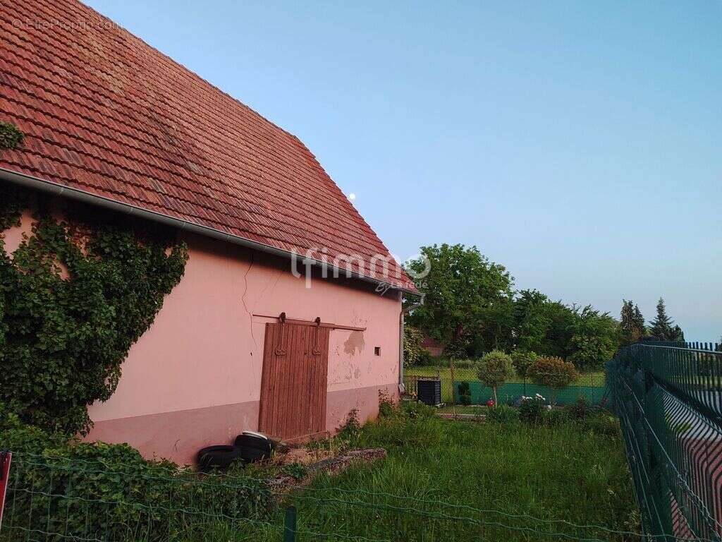 Maison à NIEDERSCHAEFFOLSHEIM