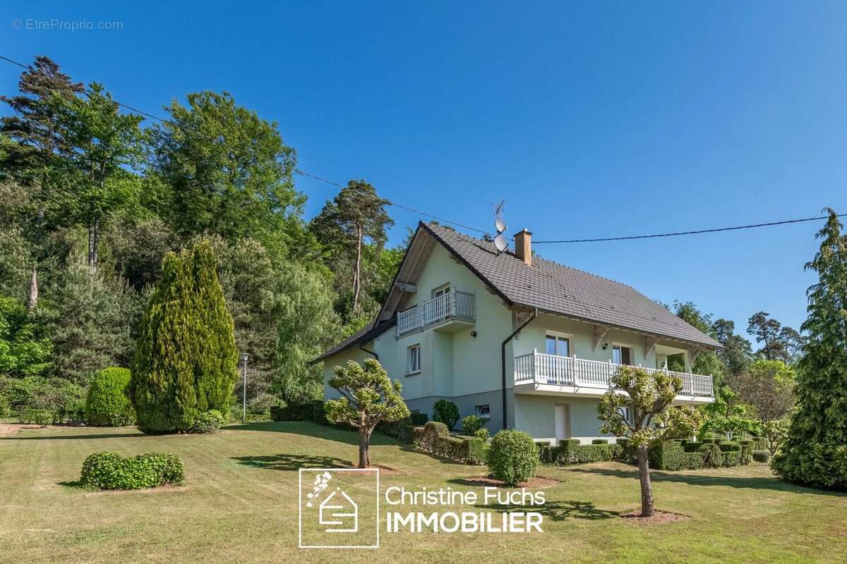 Maison à WIMMENAU