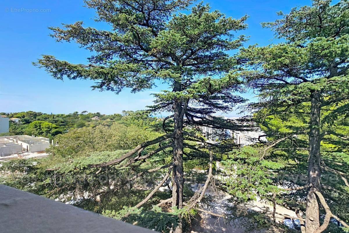 Appartement à MARSEILLE-12E