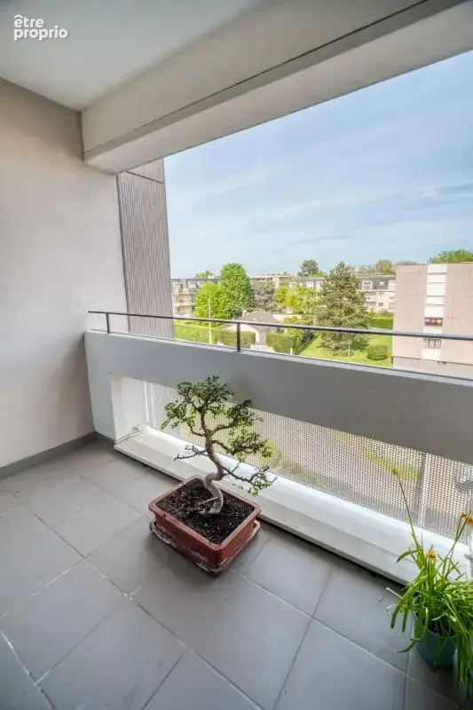 Appartement - photo 8