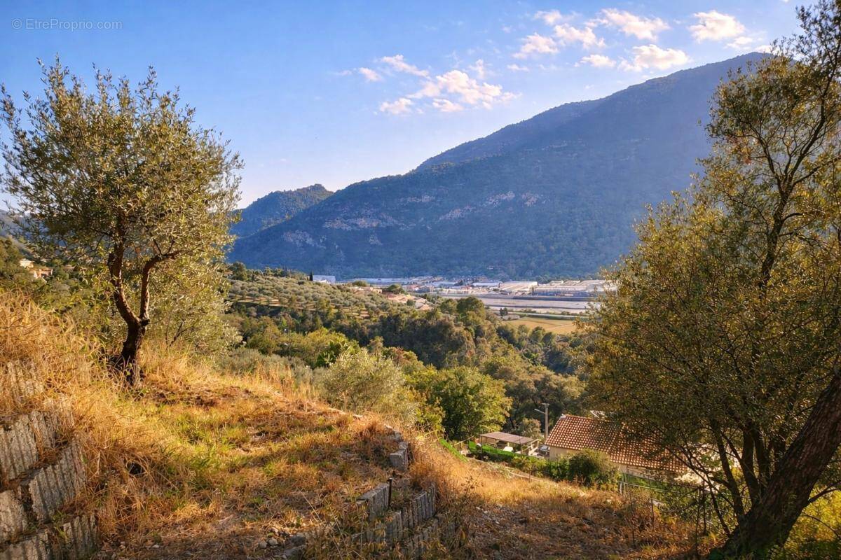Terrain à SAINT-MARTIN-DU-VAR
