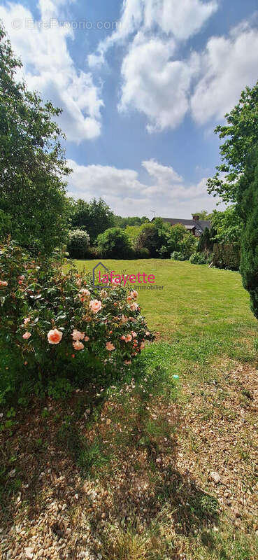 Maison à SAINT-JEAN-DE-LA-NEUVILLE