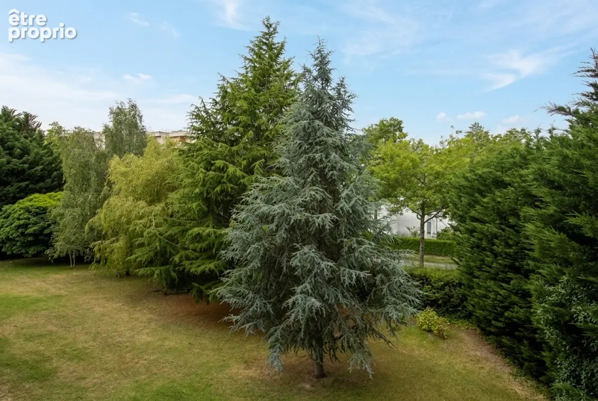 Appartement 4 pièces rénové avec terrasse et vue sur parc - cave - garage fermé - Quartier La Madeleine - photo 6