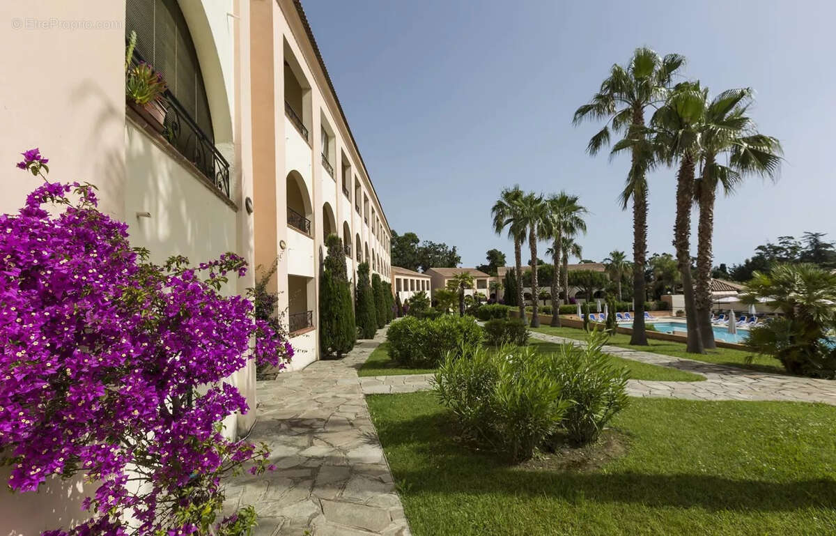 Appartement à LINGUIZZETTA