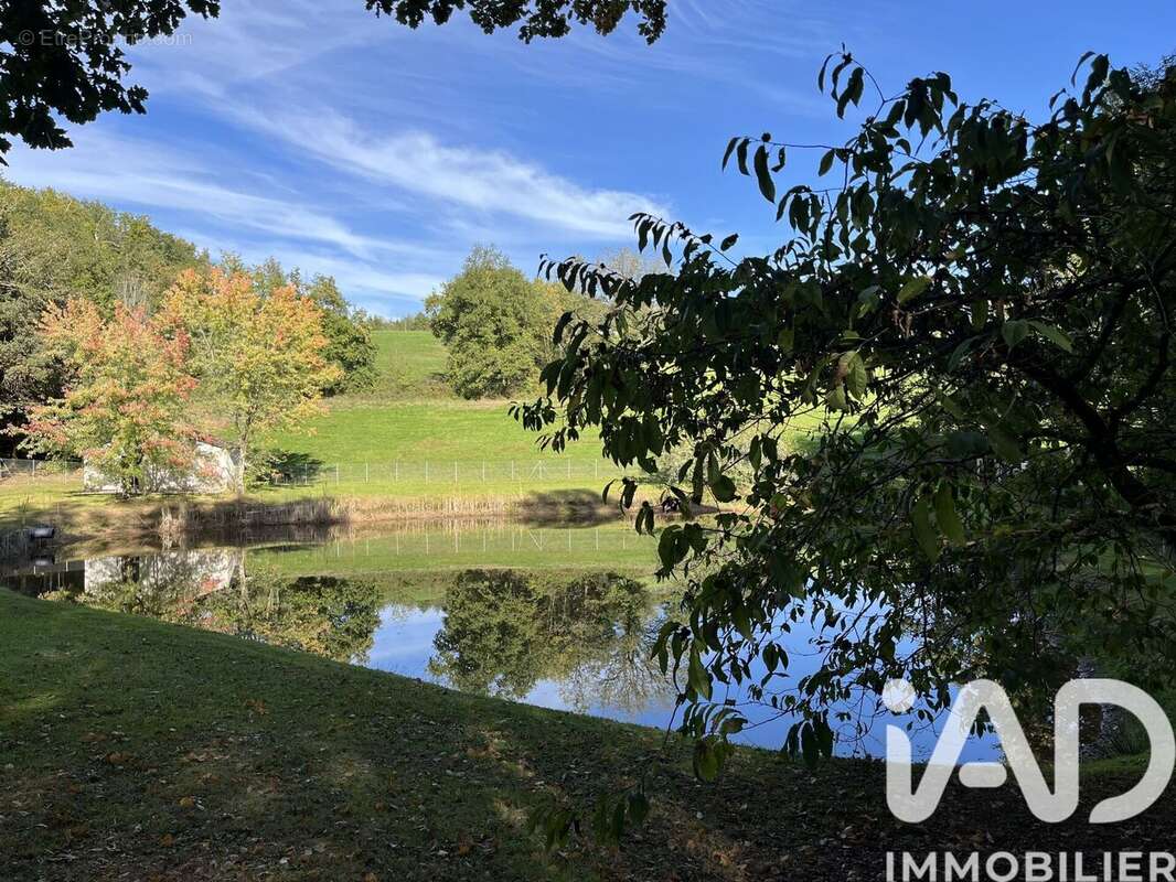 Photo 3 - Maison à BEAUREGARD-DE-TERRASSON