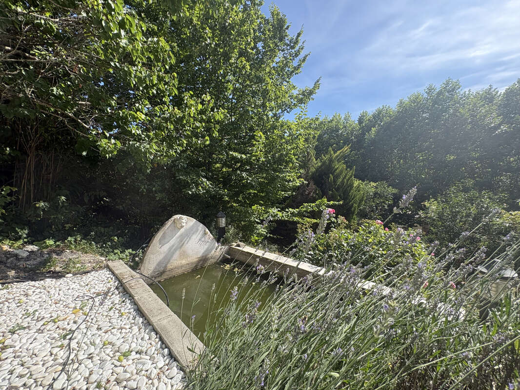 Proche limoux  maison en pierre avec jardin - dependances, grange et studio indépendant - photo 20