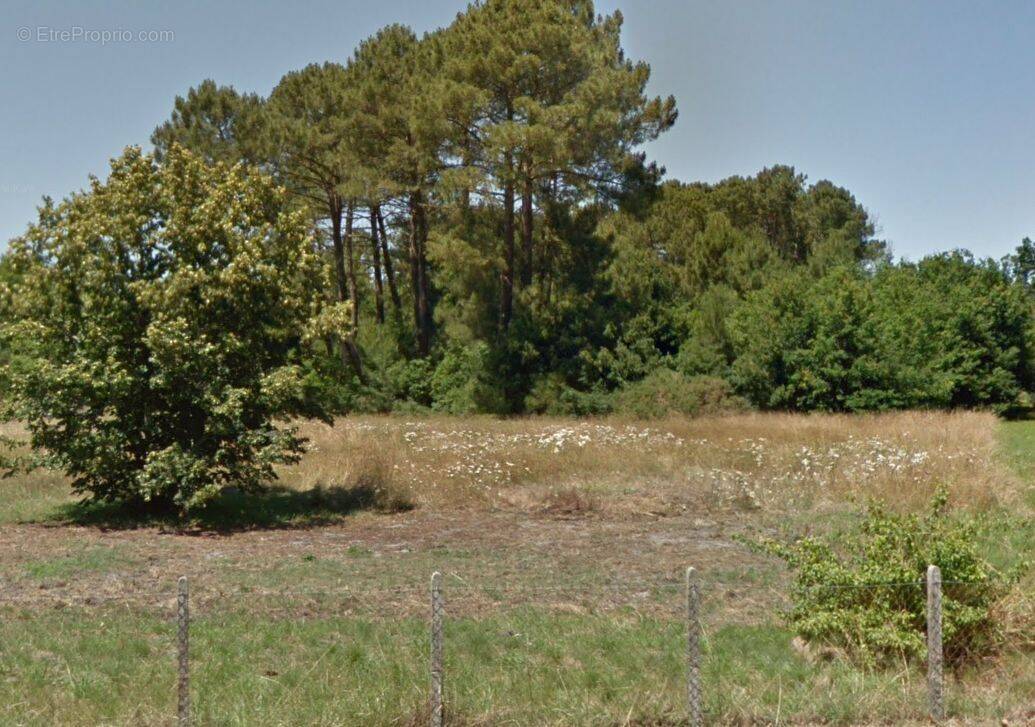 Terrain à ARES