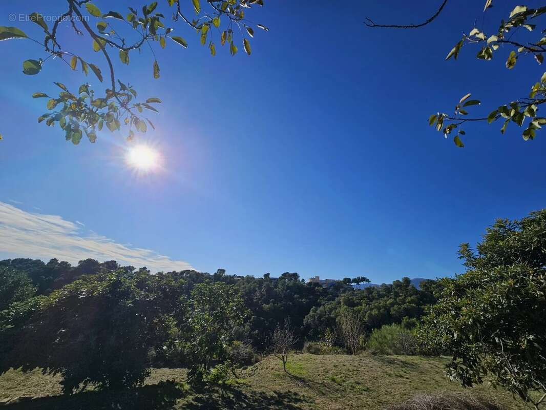 Maison à SAINT-LAURENT-DU-VAR