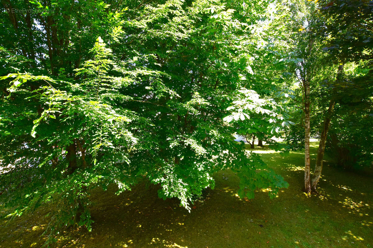 Appartement à LES ESSARTS-LE-ROI