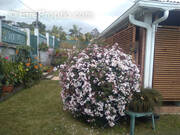 Maison à SAINT-PAUL