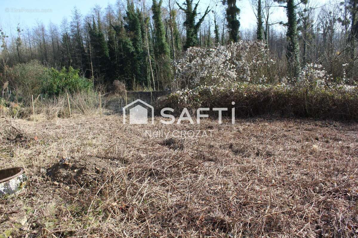 Photo 3 - Maison à NEUILLY-SAINT-FRONT