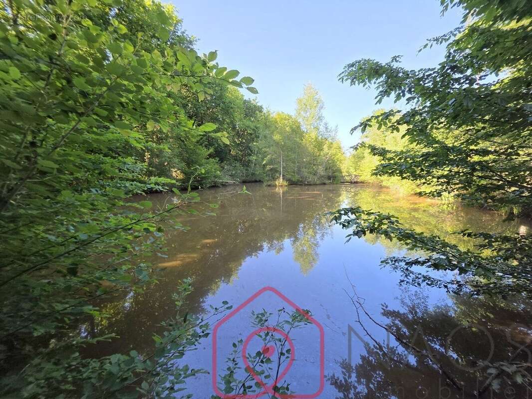 Terrain à NOUAN-LE-FUZELIER