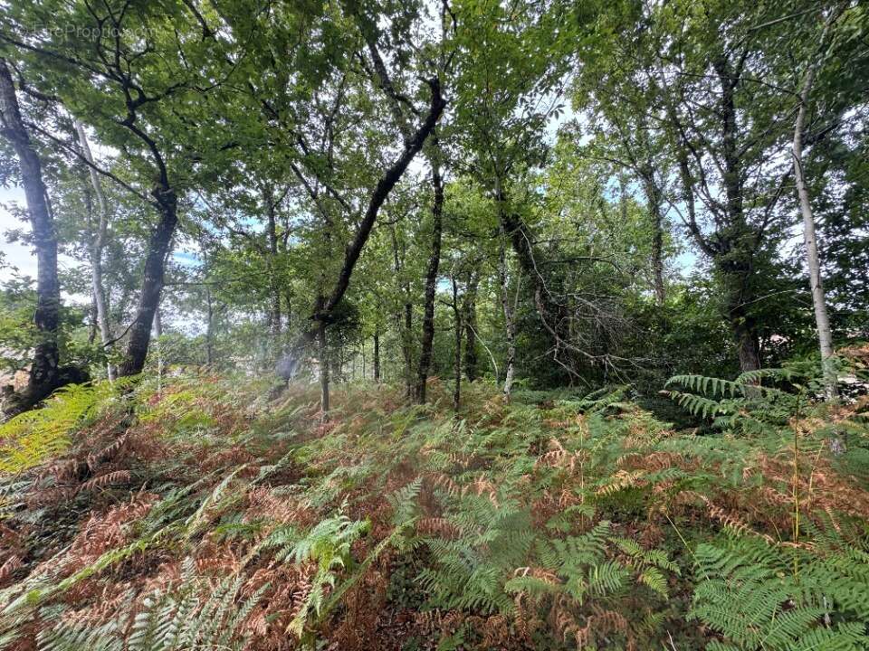 Terrain à GRAYAN-ET-L'HOPITAL