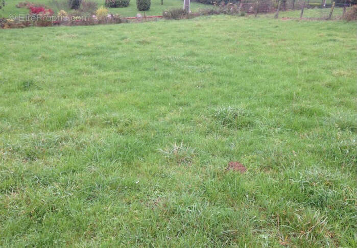 Terrain à SAINT-HILAIRE-DU-HARCOUET