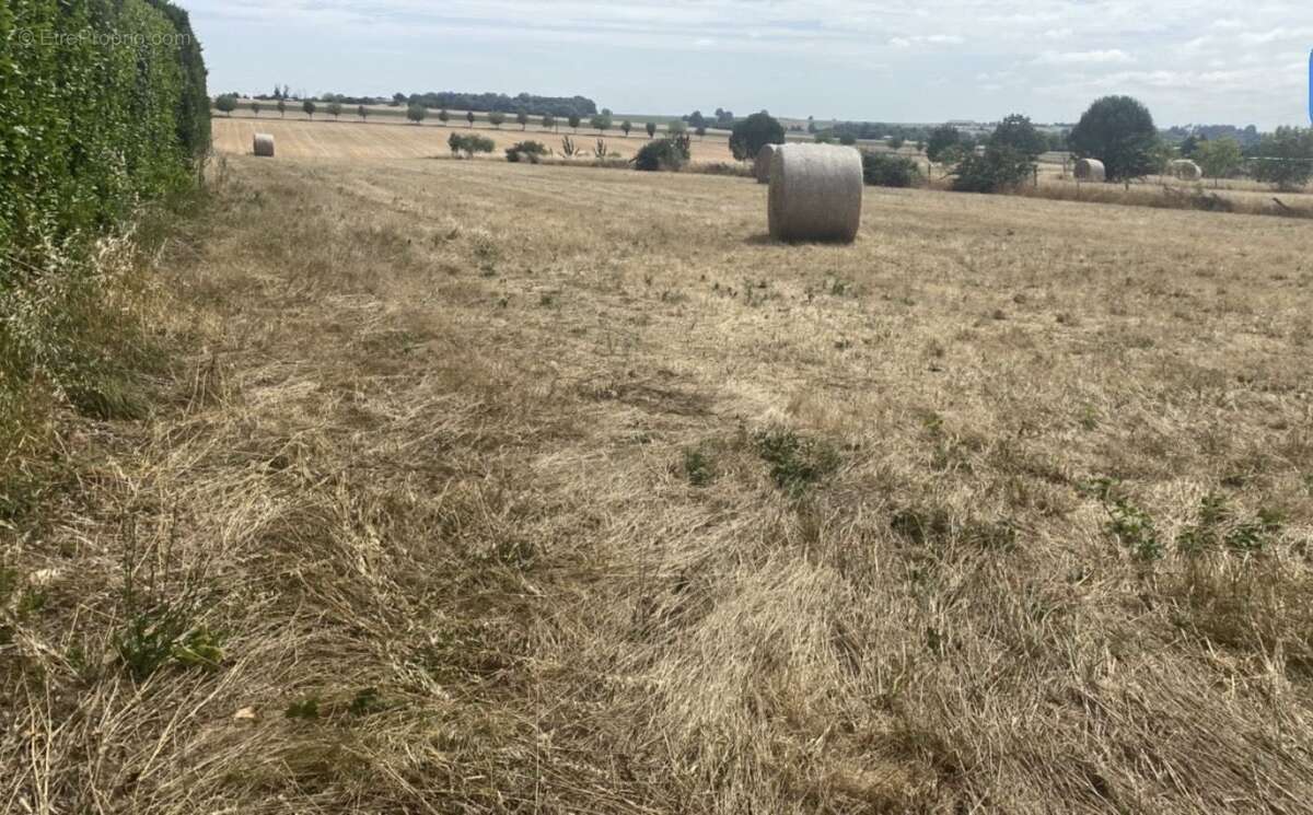 Terrain à CHAIX
