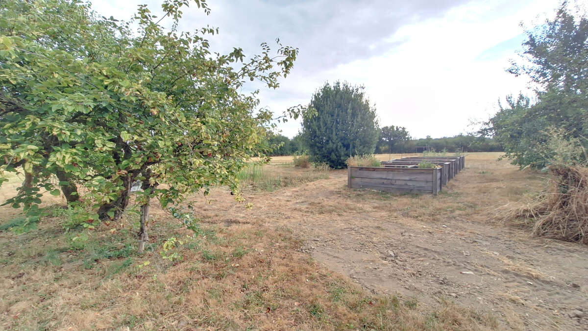 Authentique ferme bressane à colombages rénovée avec 2 logements et 1 hectare de terrain - photo 18