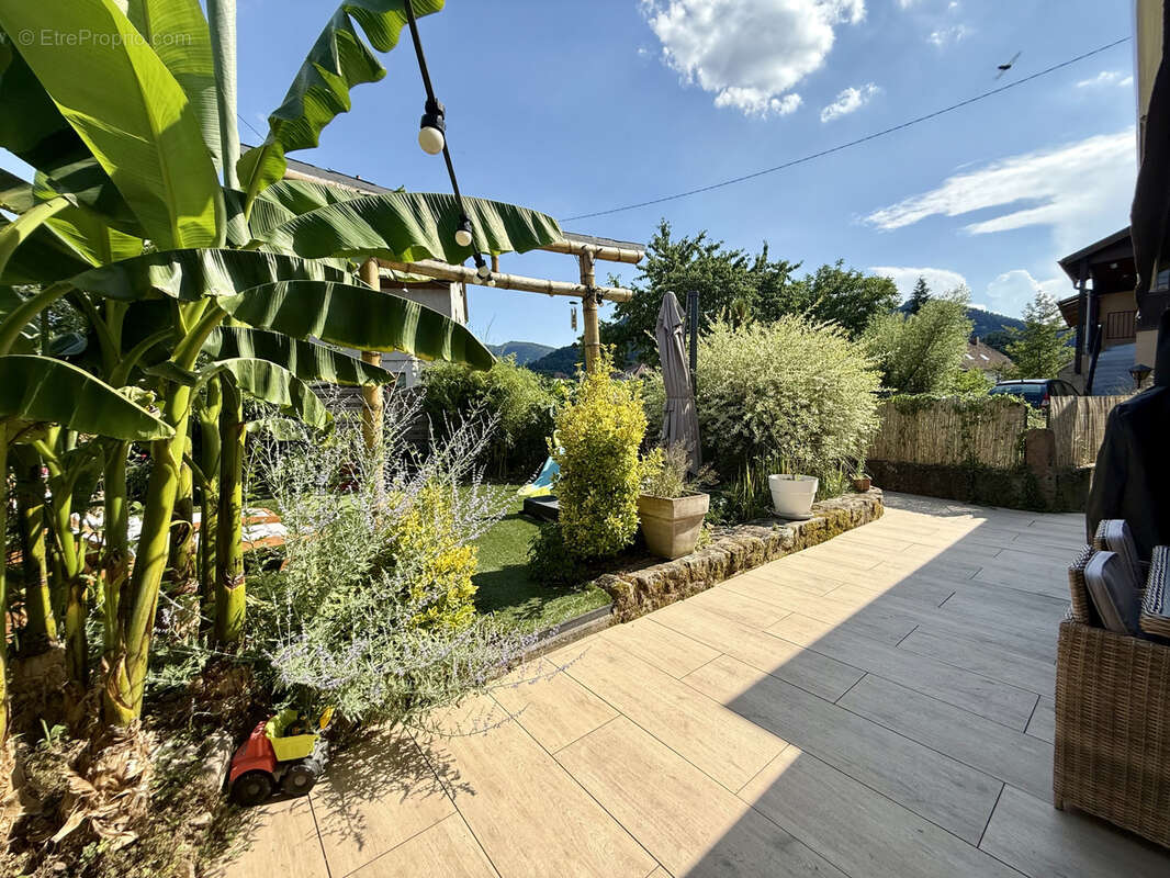 Maison à BASSEMBERG