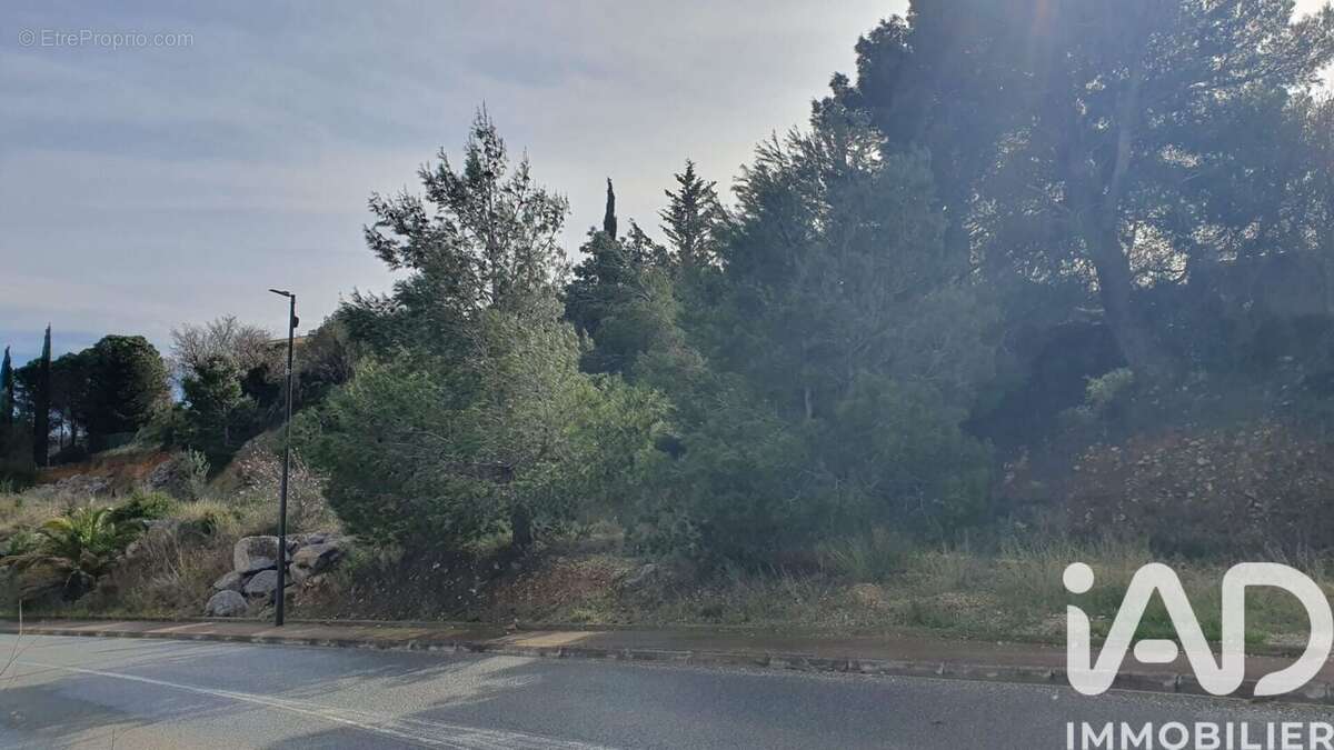 Photo 5 - Terrain à LA PALME