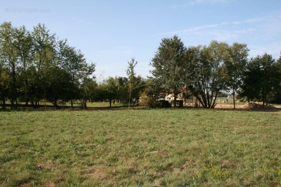 Terrain à LE BARP