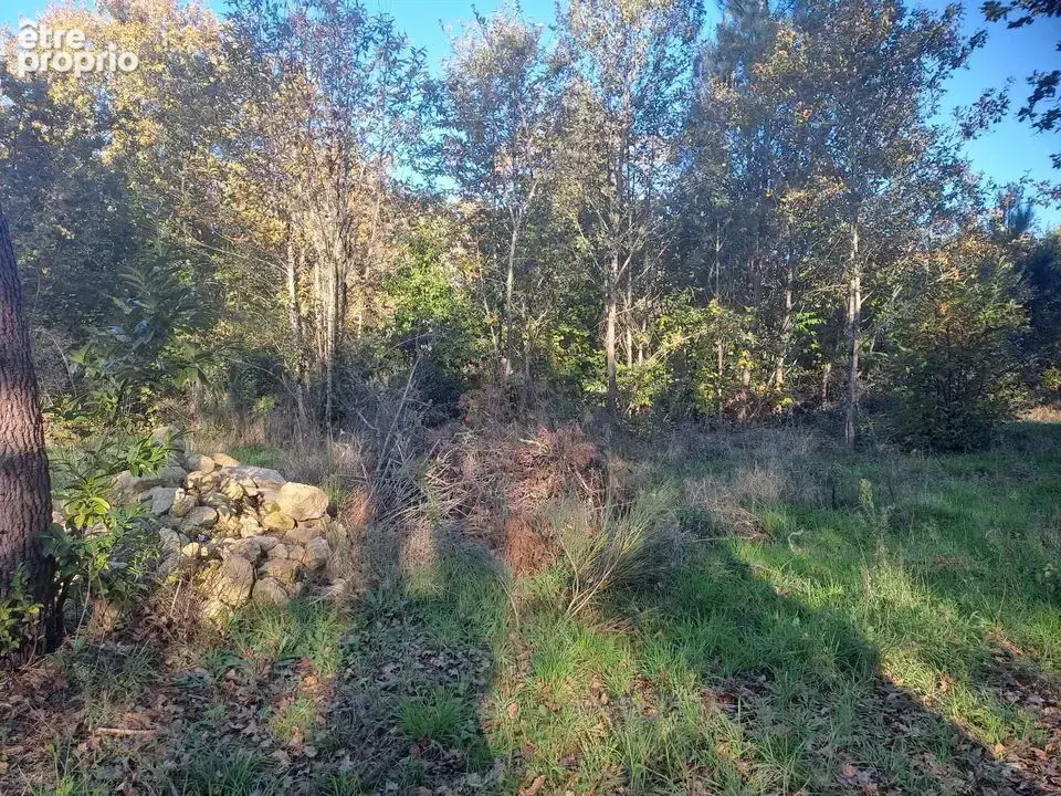 TERRAINS CONSTRUCTIBLES NON VIABILISES ET FORESTIER 4738 m2 ST