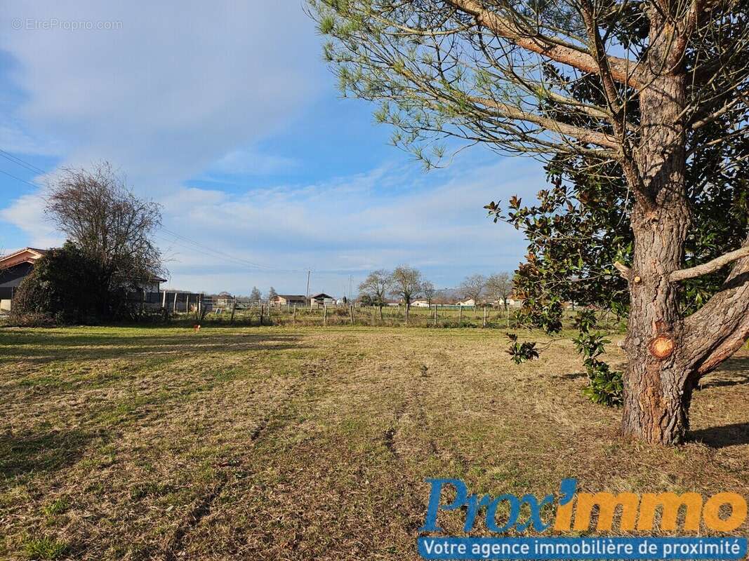 Terrain à LA FRETTE